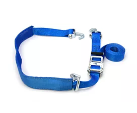 Alle autosjorbanden & toebehoren Autospanband-  50mm - 5T - 3,2m+0,3m - Draaihaken, losse vingerhaak, hoes